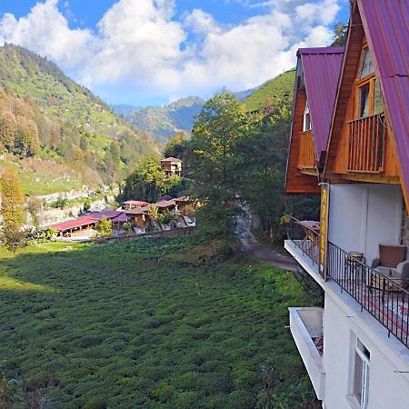 Naturel Apart Bungalow Villa Çamlıhemşin Esterno foto